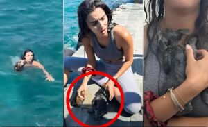 Brave Woman Dives into Busy Port to Save a Drowning Kitten