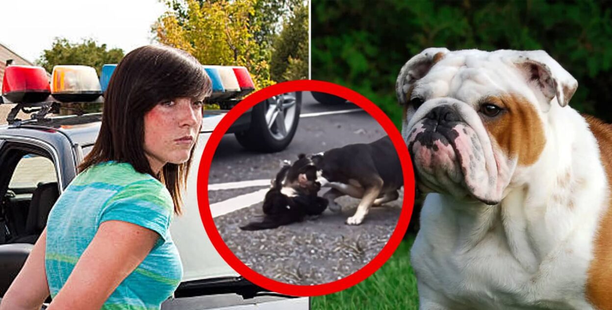 29-Year-Old Woman Arrested After Dog Injures Cat