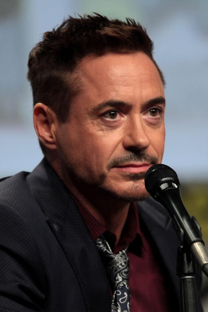 Robert downey jr