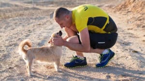 man adopts stray dog during race finding gobi dion leonard cover 675