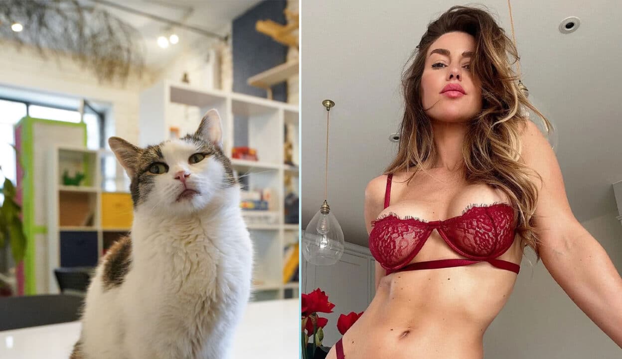 OnlyFans Model Eliza Rose Watson's Cat Interrupts Bold Photoshoot