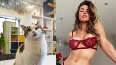 OnlyFans Model Eliza Rose Watson's Cat Interrupts Bold Photoshoot