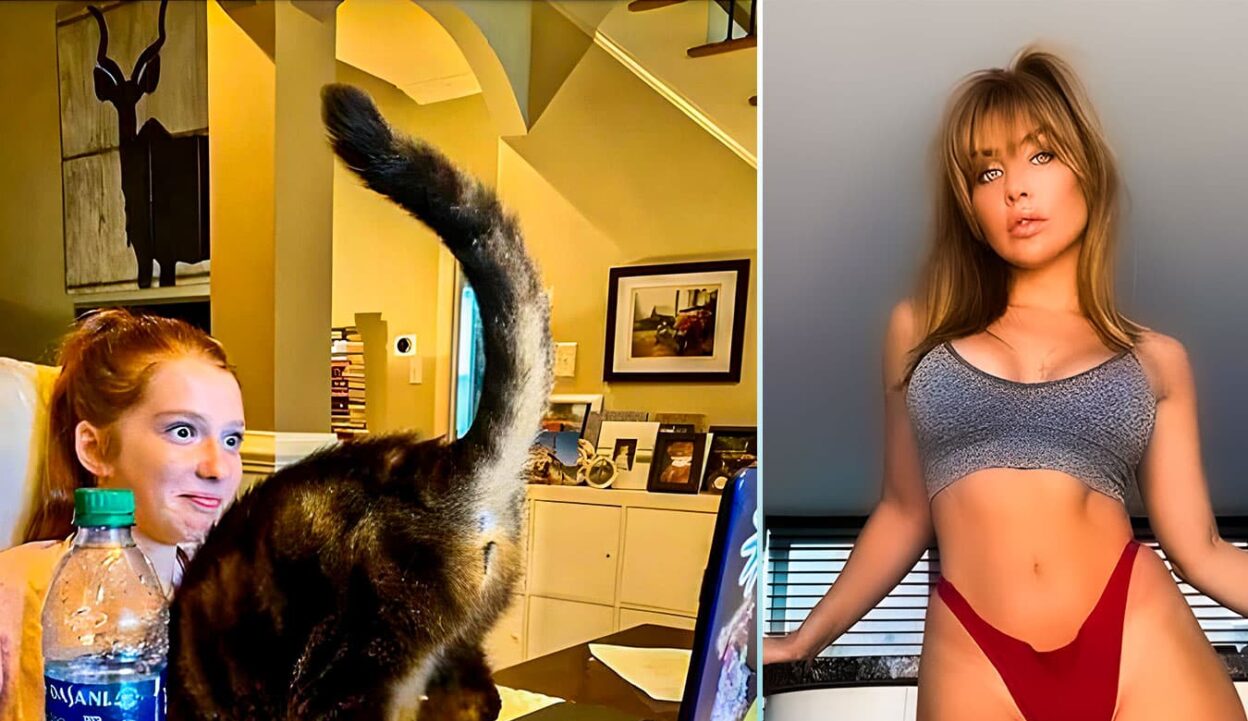 OnlyFans Model's Cat Performs Live Welcome Skit: A Unique Twist on Subscriber Engagement