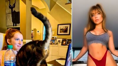 OnlyFans Model's Cat Performs Live Welcome Skit: A Unique Twist on Subscriber Engagement