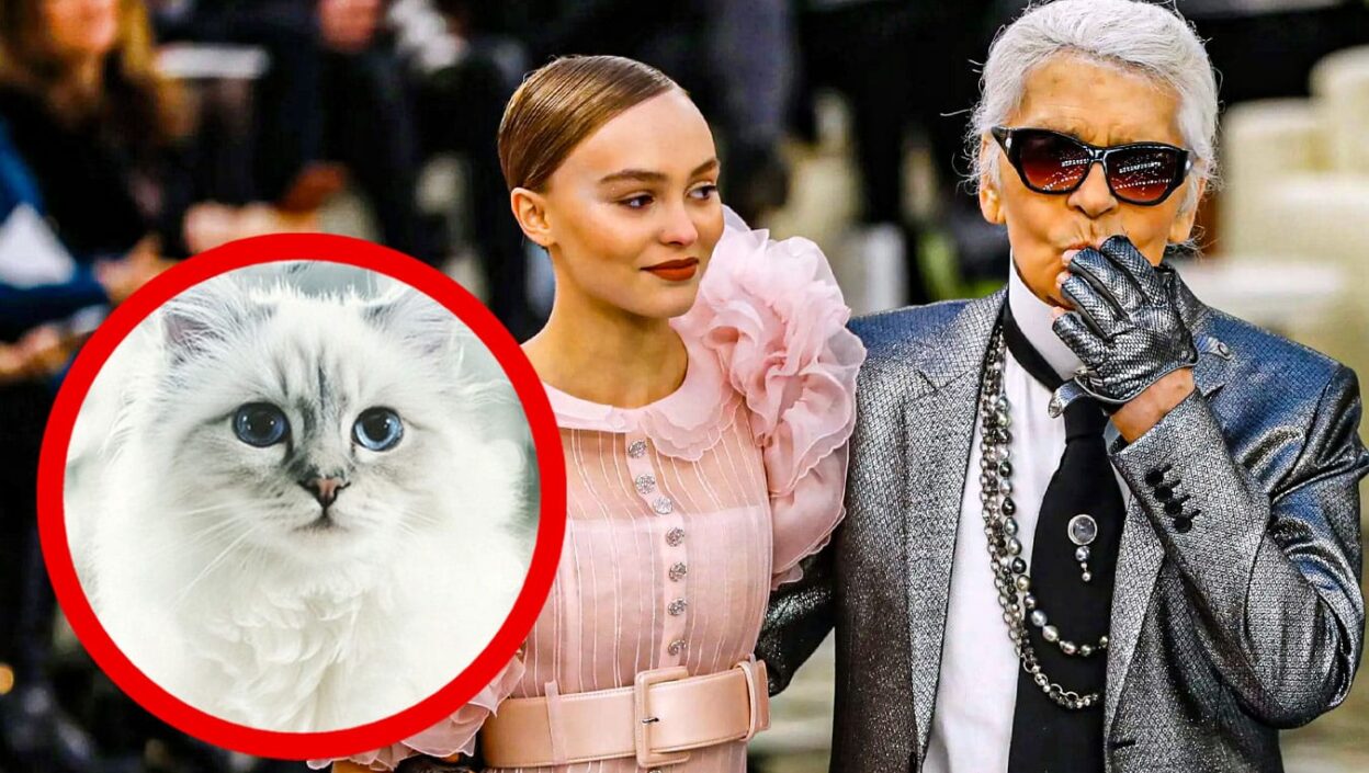 Karl Lagerfeld’s Cat Got Stolen and Sold in Black Market for $2.3M