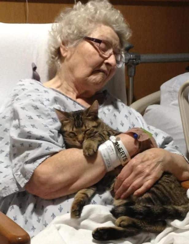 How My Pet Cat Saved My Grandmother’s Life