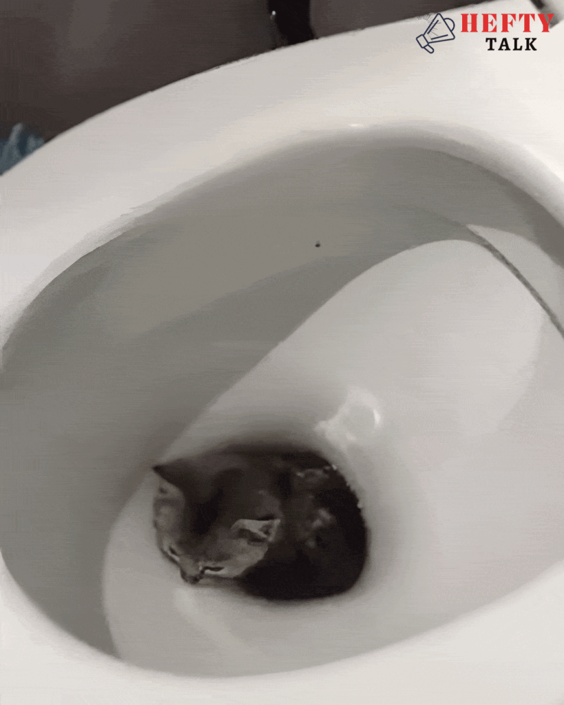 Luna’s Bathroom Adventure