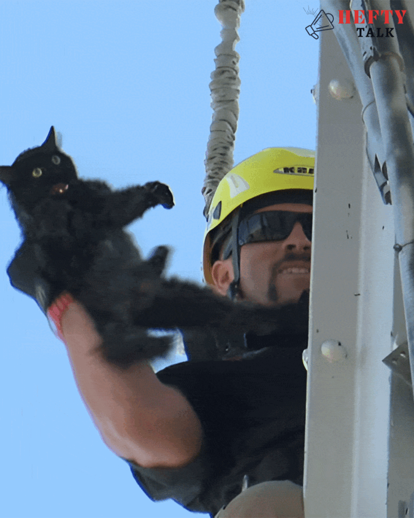 Stuck Cat Rescue, A Tale of Brave Man