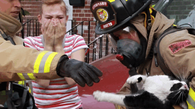 Foster Homes Needed for Pets After L.A. Fire