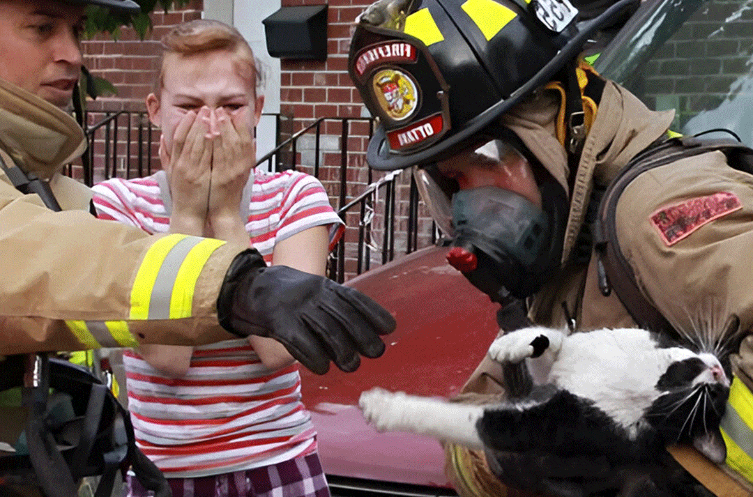 Foster Homes Needed for Pets After L.A. Fire