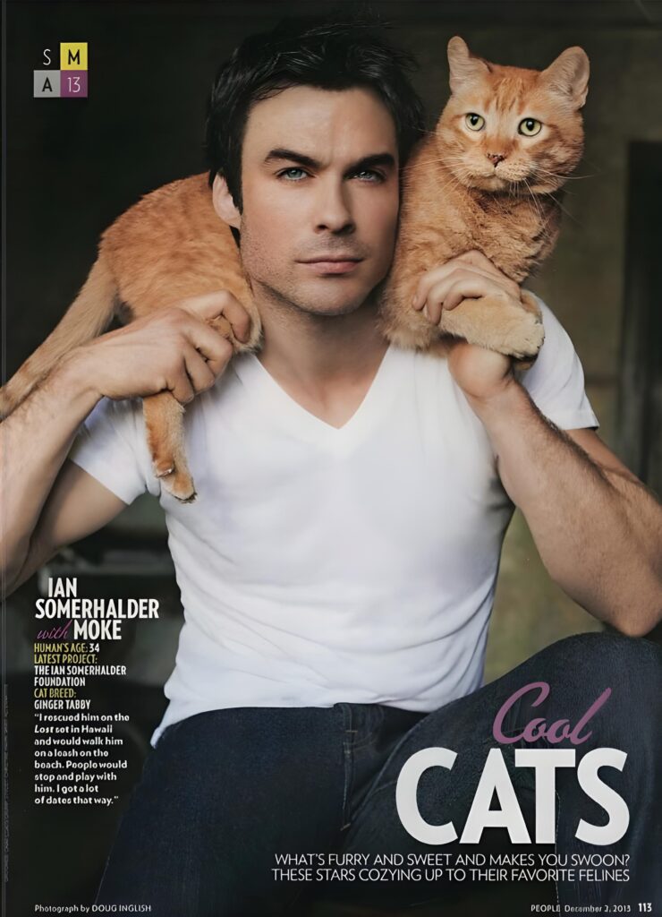 Celebrity Cats Outshine Their Famous Owners