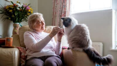 How My Pet Cat Saved My Grandmother’s Life