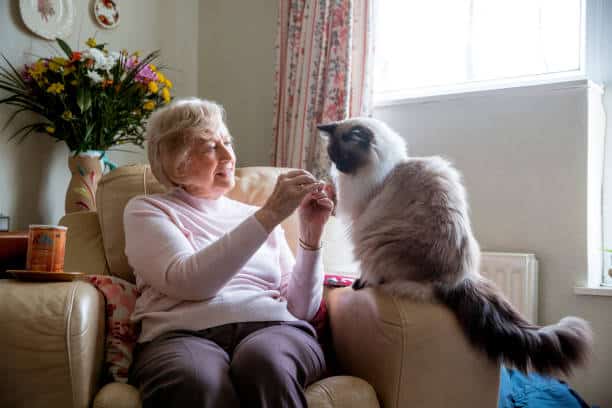 How My Pet Cat Saved My Grandmother’s Life