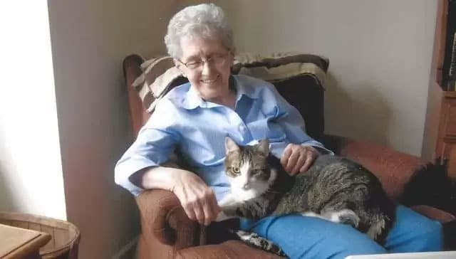 How My Pet Cat Saved My Grandmother’s Life