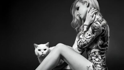 Cat Model Rina’s Fall Saved by Her Cat Milo