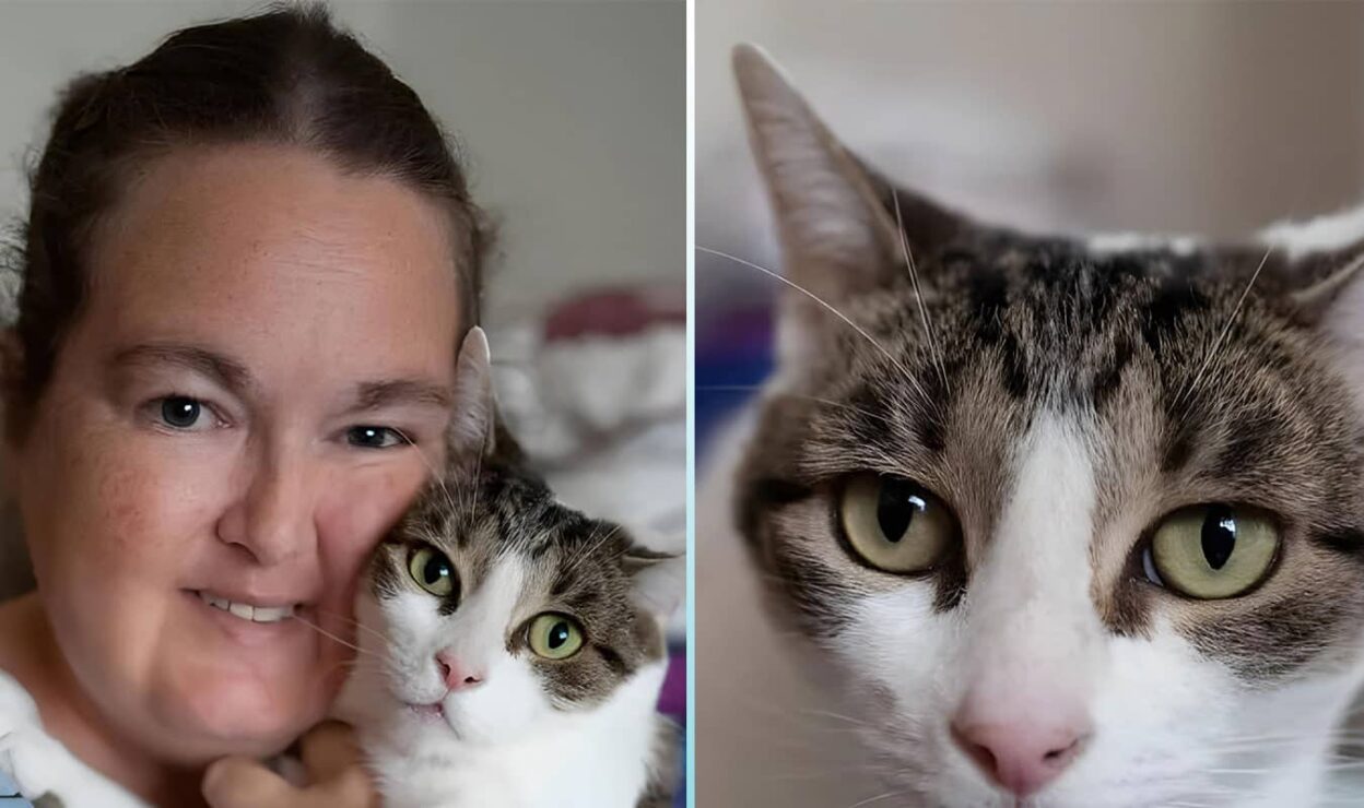 Emma Quit Job to Save Stray Cats: A Heartbreaking Truth Unveiled