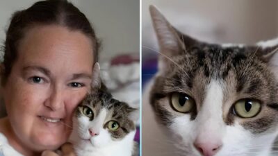 Emma Quit Job to Save Stray Cats: A Heartbreaking Truth Unveiled