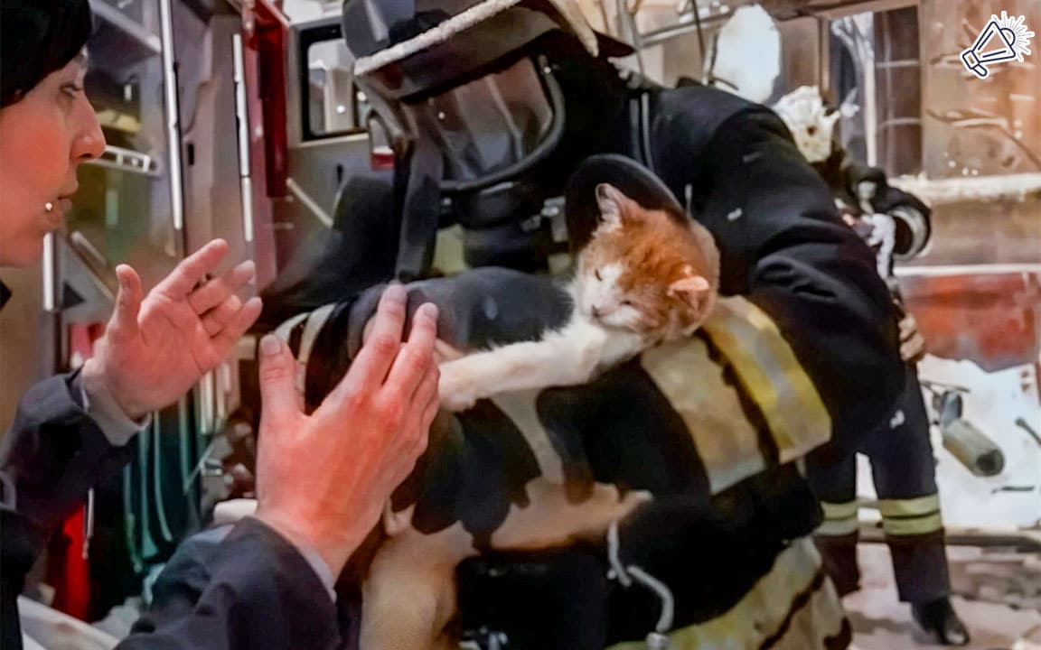 Firefighter Saves Cat’s Life with Oxygen Mask