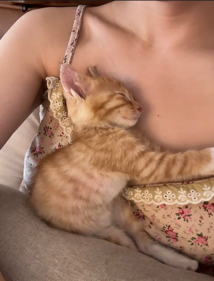 Model Reveals Heartbreaking Truth Behind Cat’s Unusual Affection