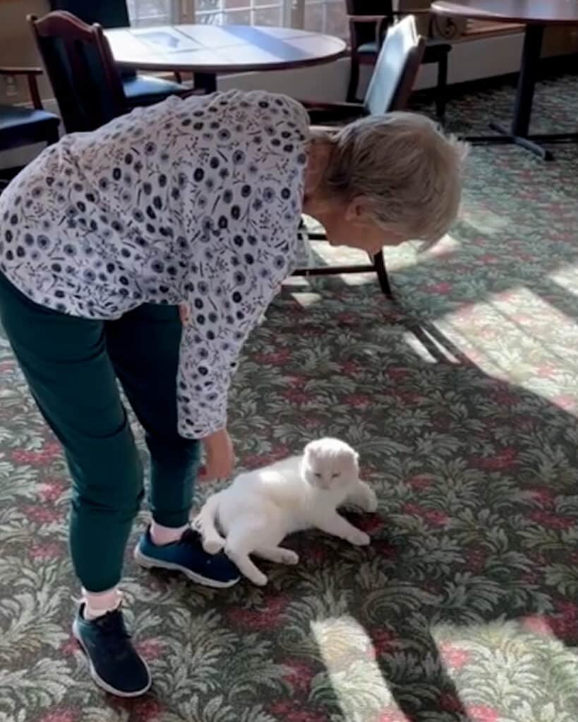 Shelter Cat Brings Joy to Nursing Home Residents