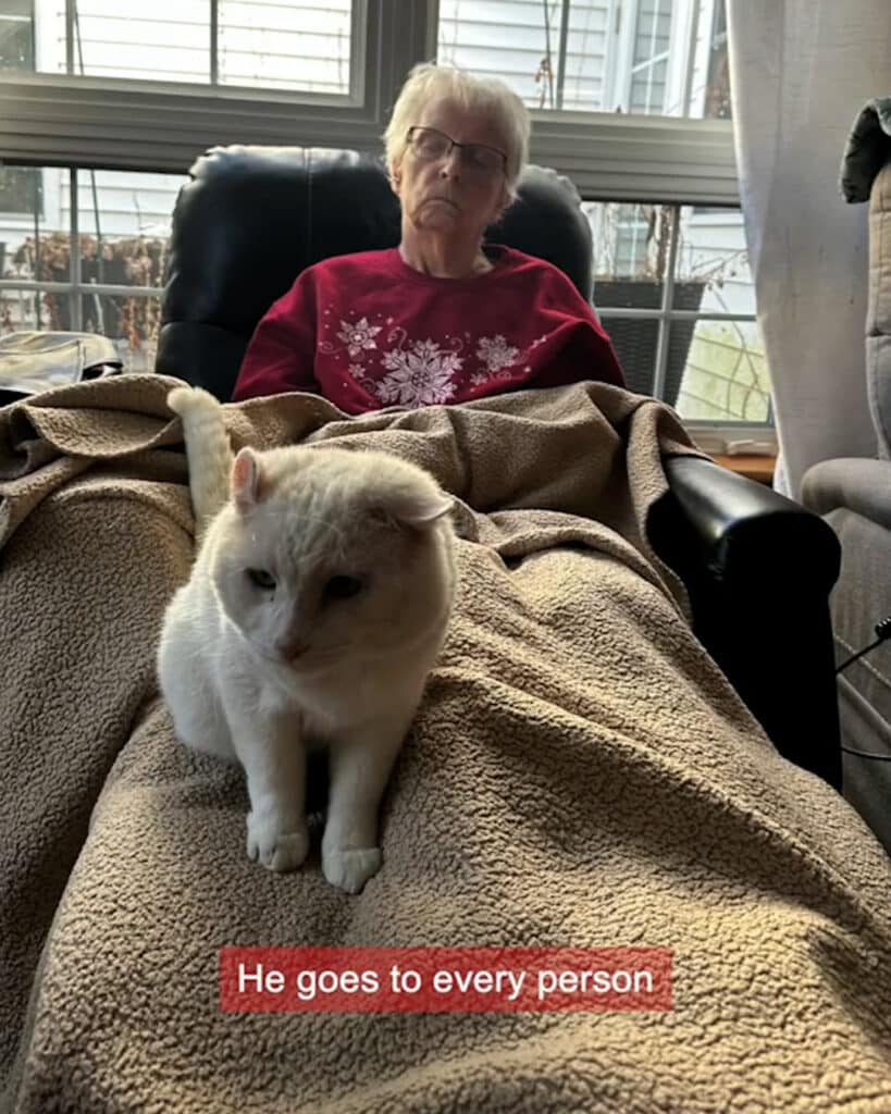 cute feline with an old people from the old home