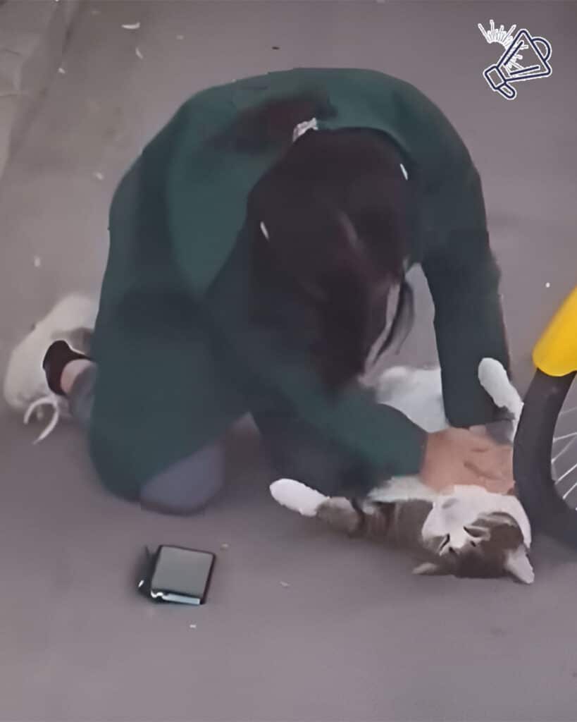 Lady Performs CPR on Cat at Roadside