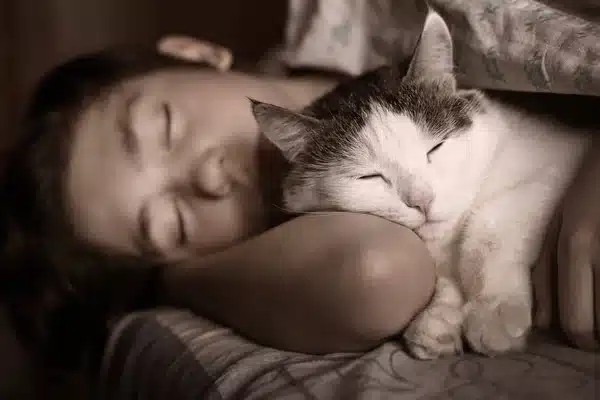 depositphotos 152546784 stock photo teen boy sleep with cat