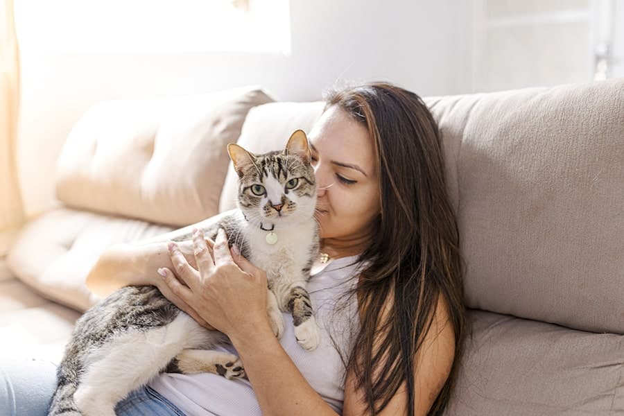 gray and white cat with a white collar being held up by a woman min